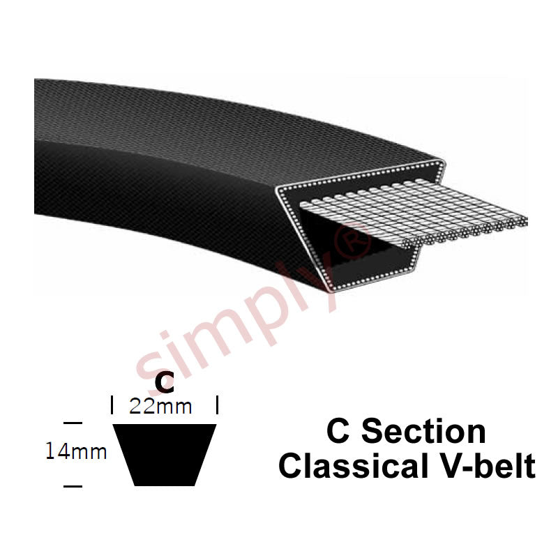 C125 Pix Classical C-Section Muscle V-Belt