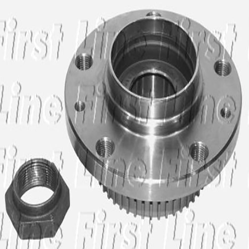 FBK790 Rear Wheel Bearing Kit