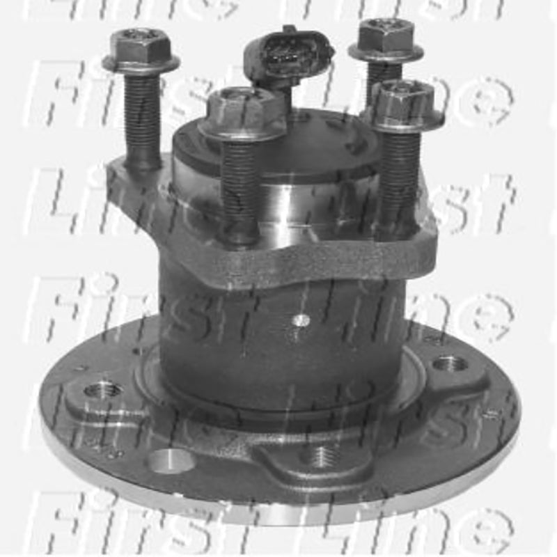 FBK974 Rear Wheel Bearing Kit