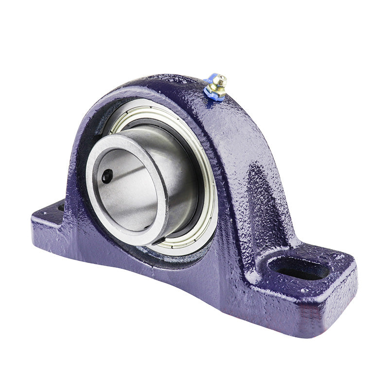 RHP NP1-15/16 Two Bolt Cast Iron Pillow Block and 1-15/16 Bore Grub Screw Full Width Insert