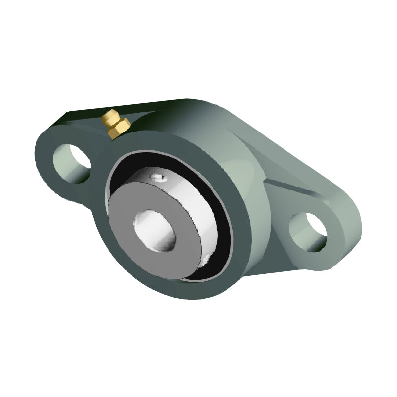 NTN UCFLX05D1 Metric Two Bolt Oval Cast Iron Flange Housing with 25mm Bore Insert - Allow 2-3 Days