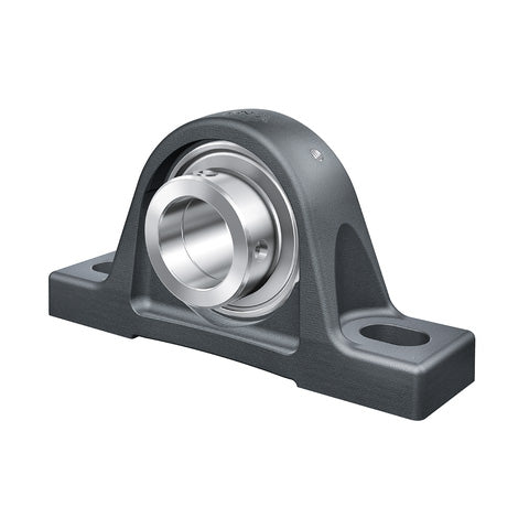 INA RASE20XLNFA125 Cast Iron Plummer Block Housing with Eccentric Collar Insert and Anti-Corrosion Protection 20mm Bore